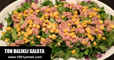Ton balıklı Salata